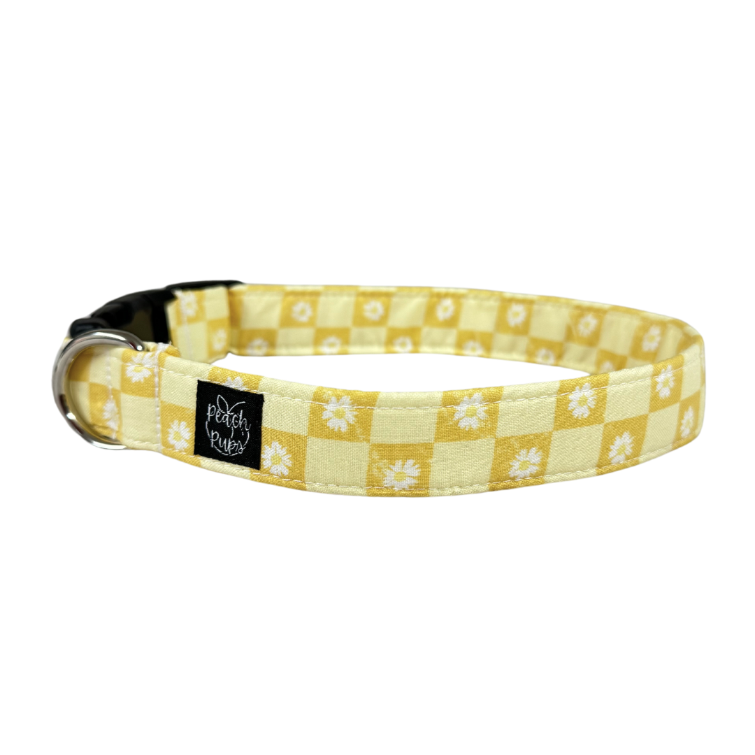 Yellow Checkered Daisies Collar