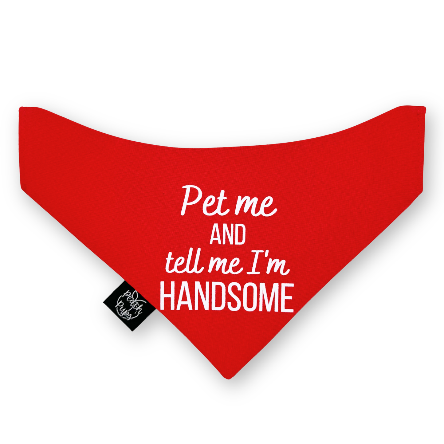 Red Handsome Bandana