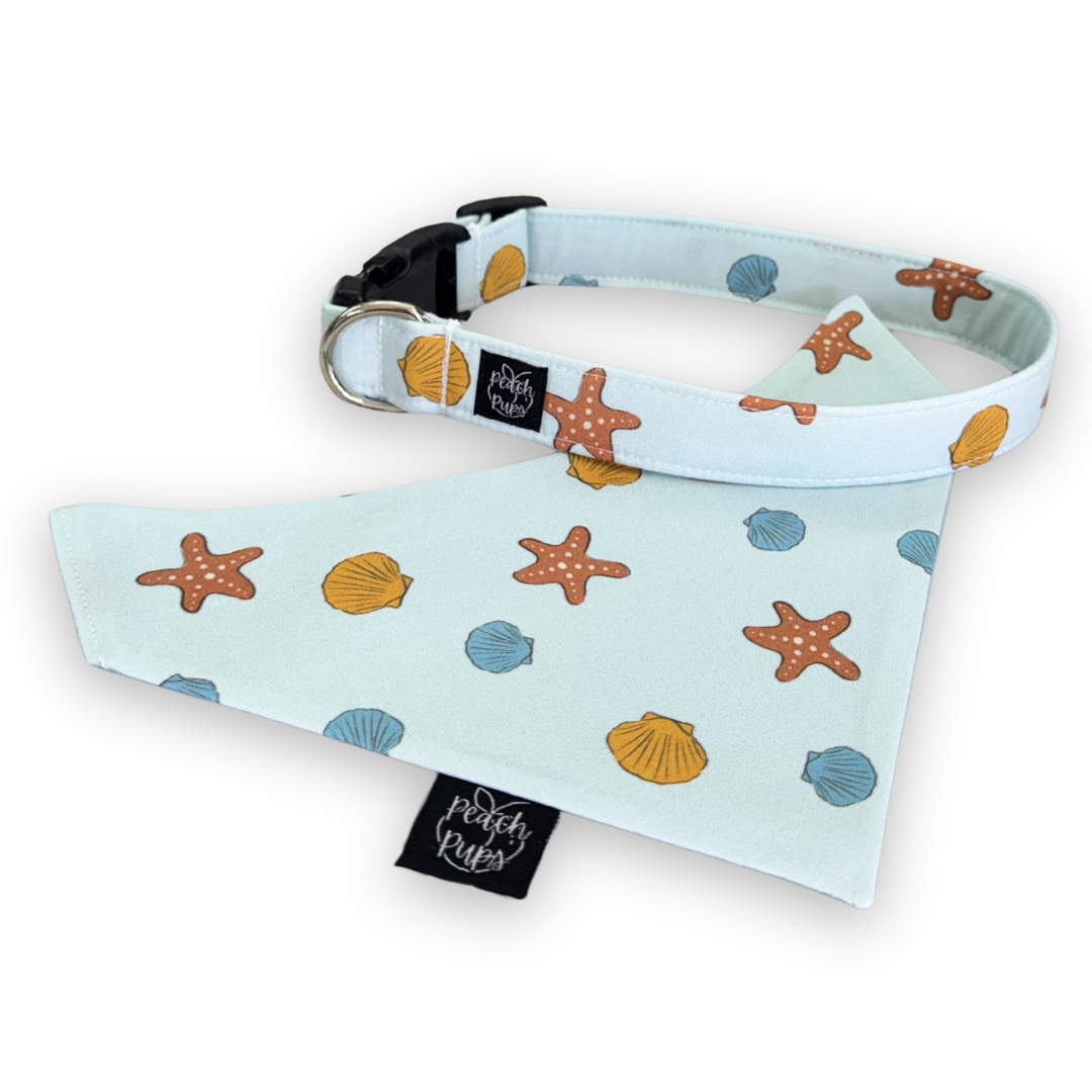 Seashells Collar