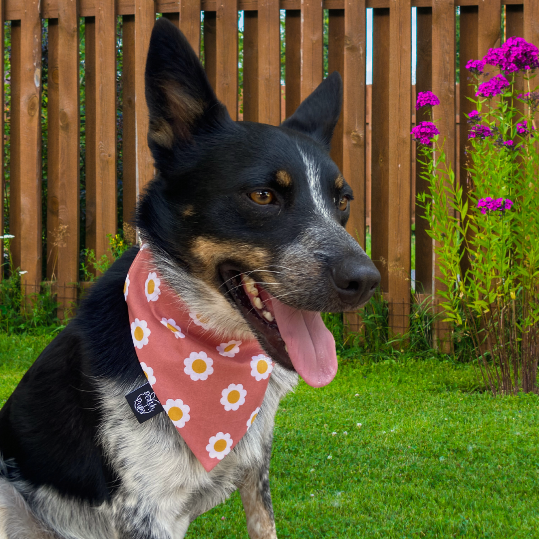 Flower Power Bandana