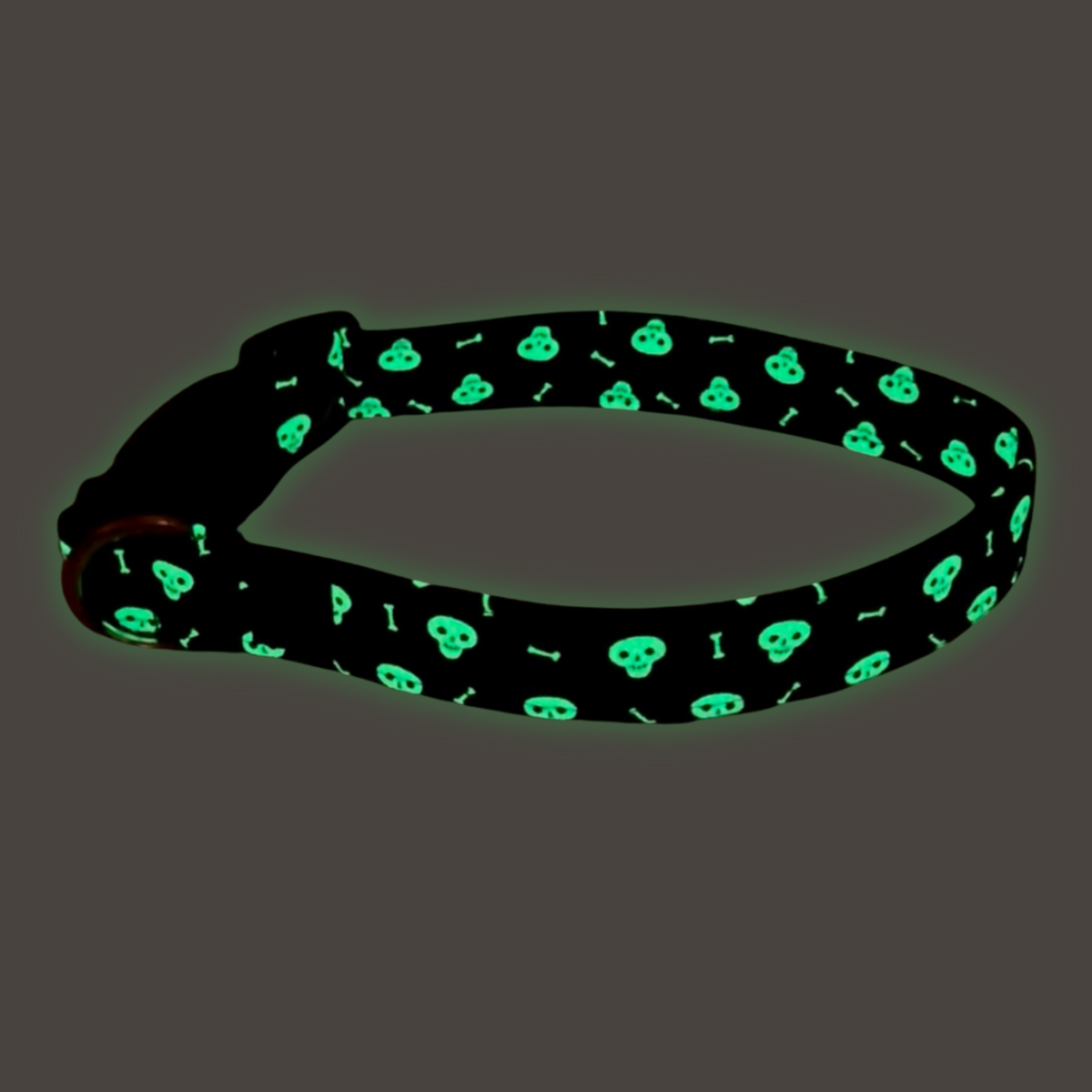 Glow in the Dark Skulls Collar