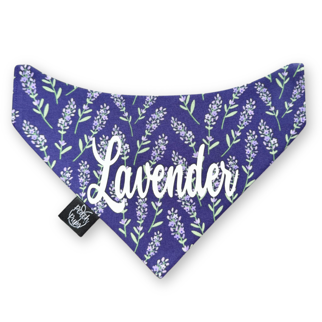 Lavender Plants Bandana