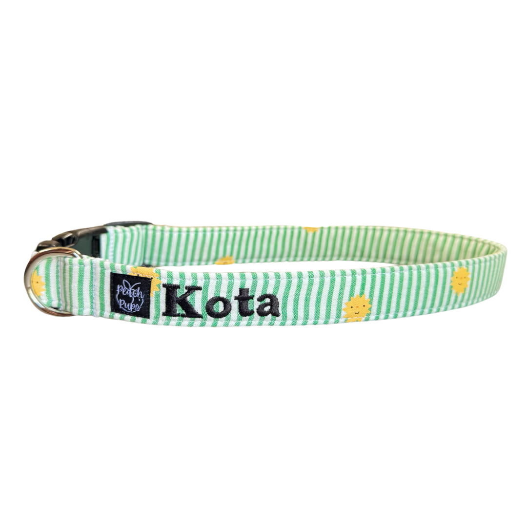 Suns on Green Seersucker Collar