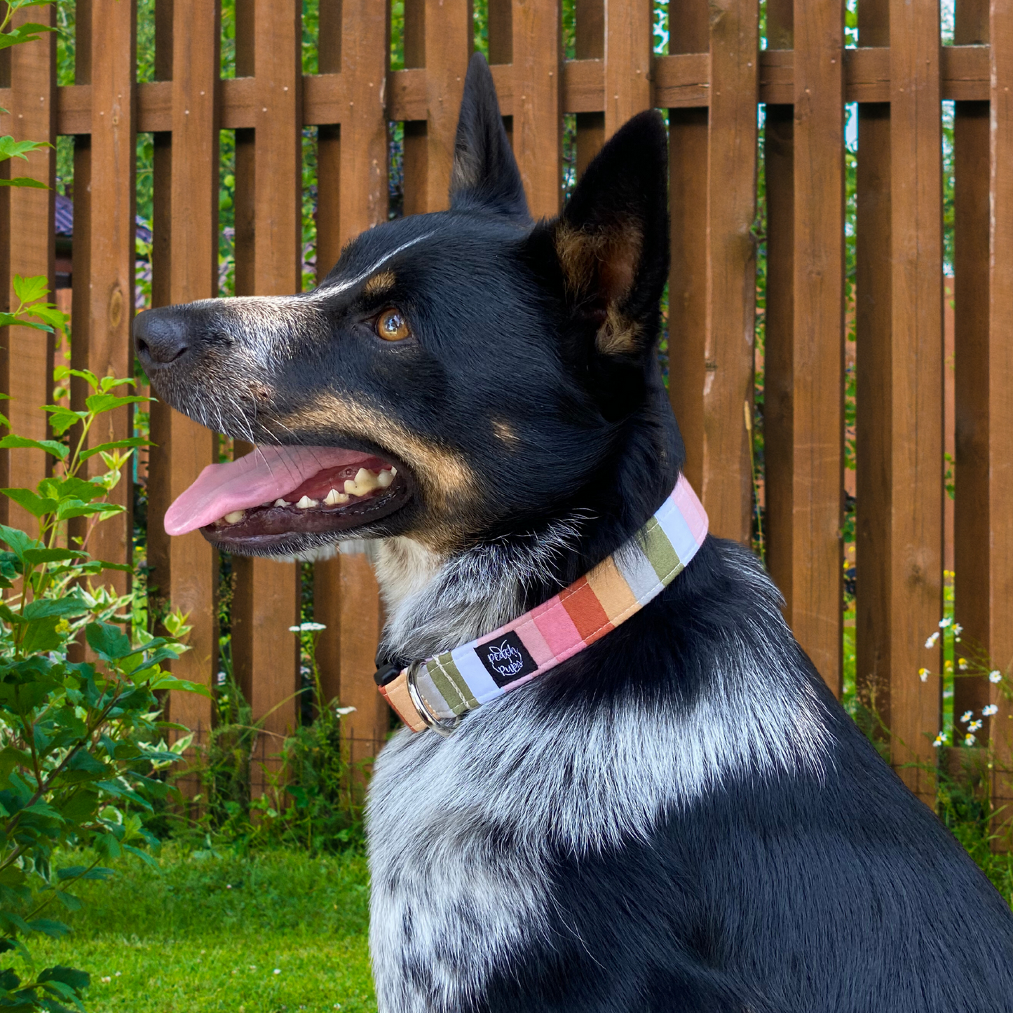 Pastel Stripe Collar