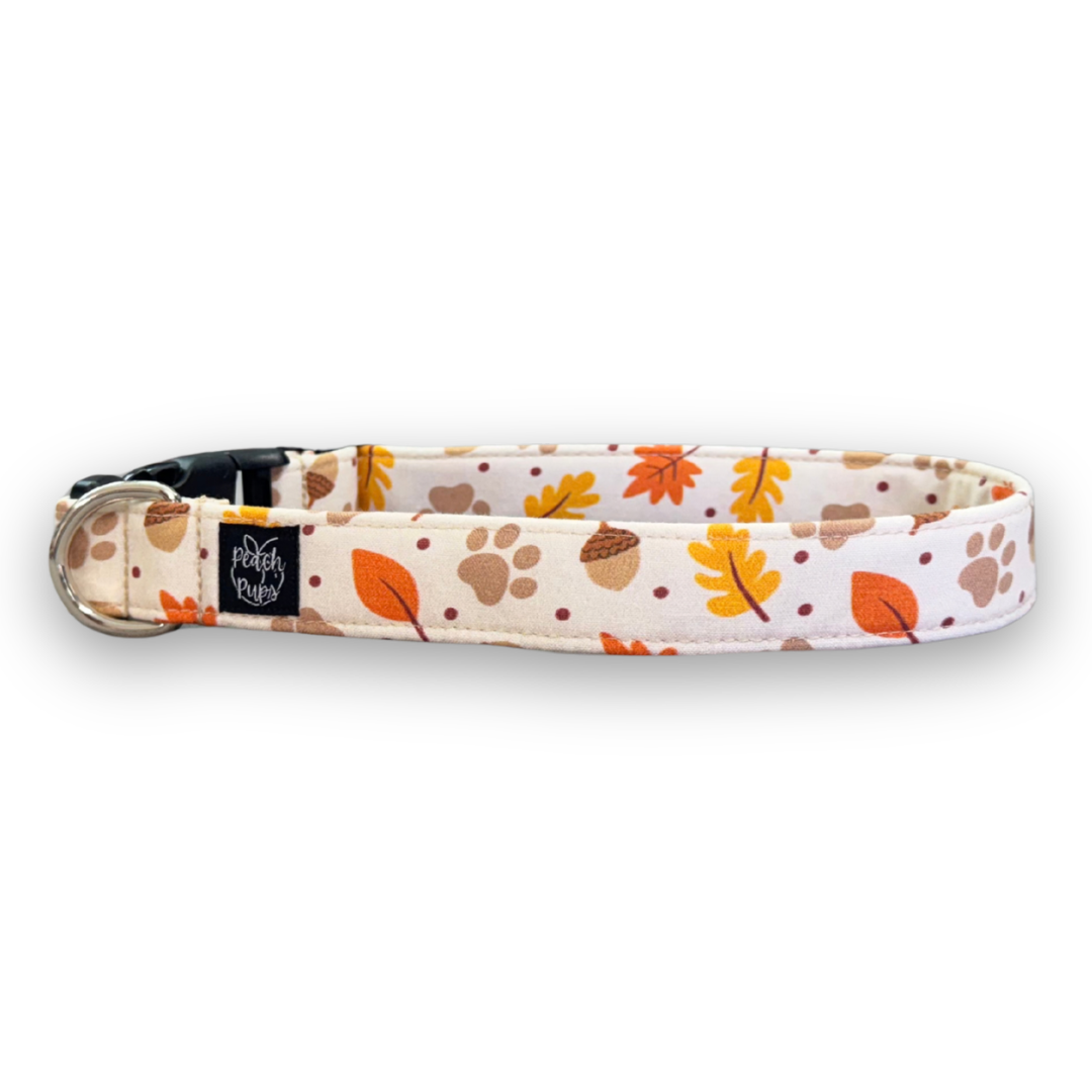 Fall Paw Prints Collar