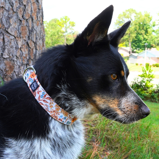 Autumn Harvest Collar