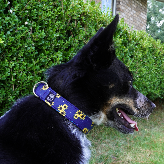 Sunflowers Collar