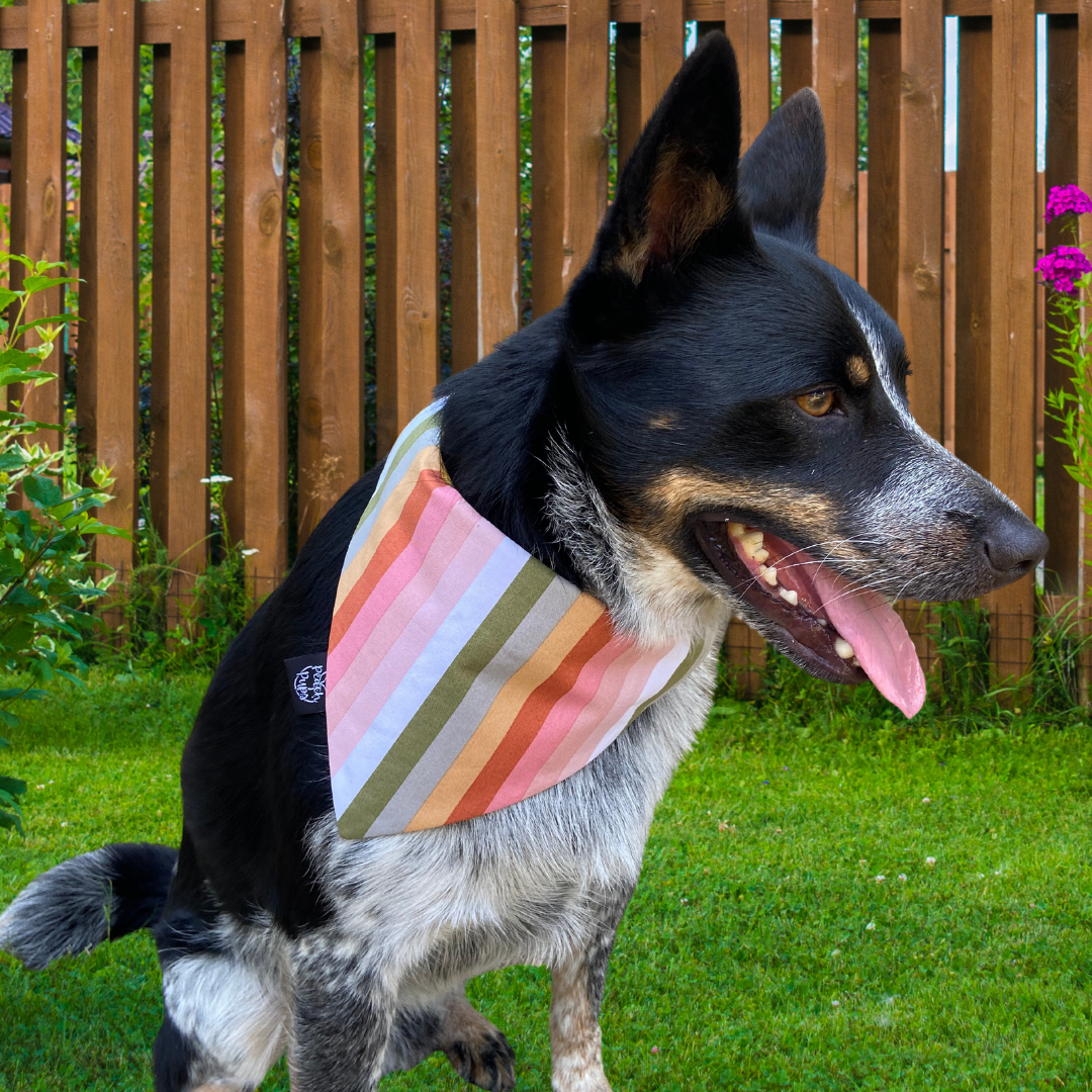 Pastel Stripe Bandana