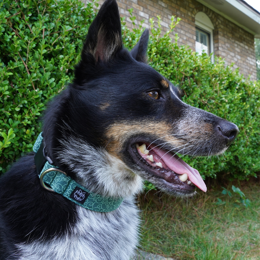 Green Swirls Collar
