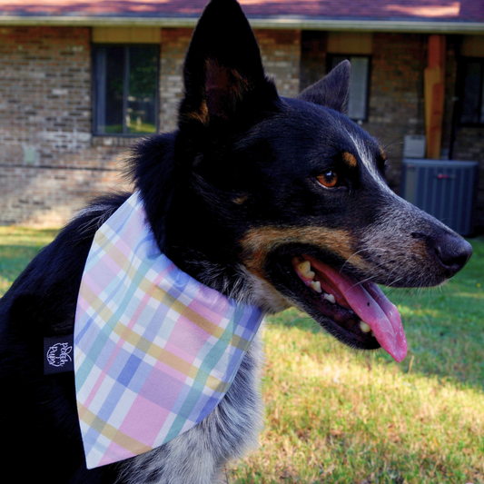 Pastel Plaid Bandana