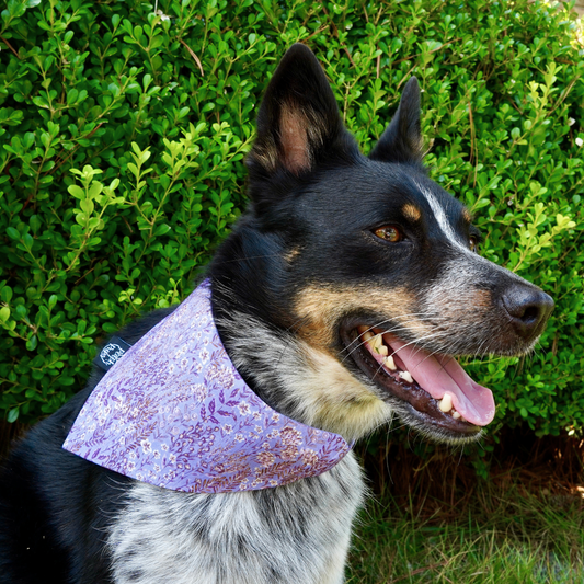 Purple Wheat Field Bandana