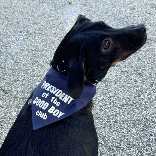 Good Boy Club Bandana
