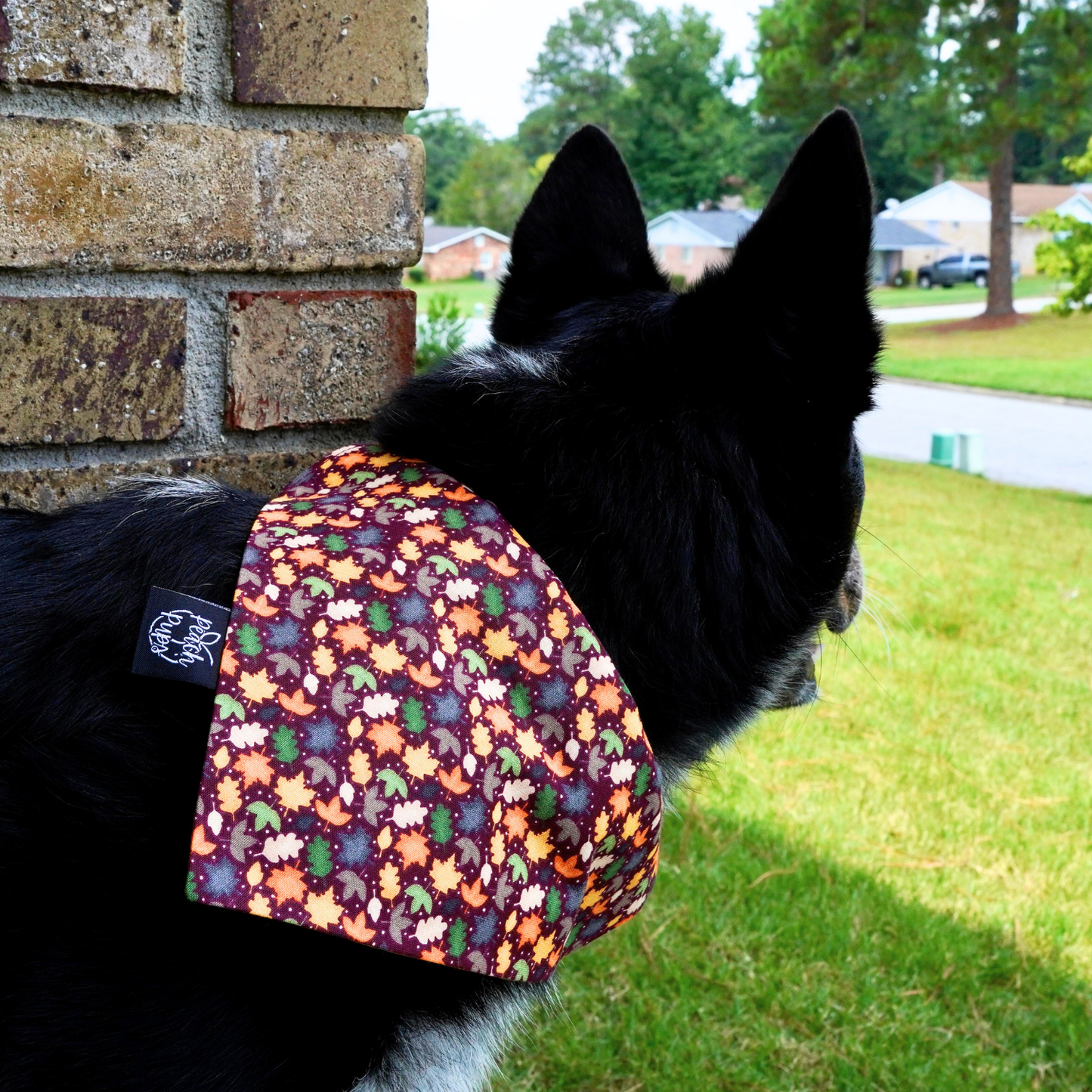 Autumn Leaves Bandana