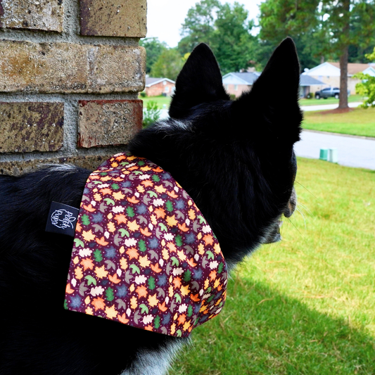 Autumn Leaves Bandana