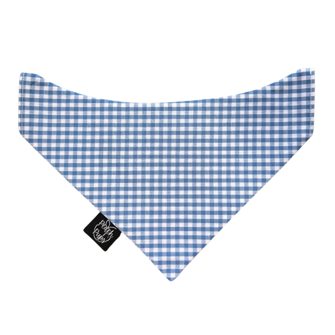 Blue Gingham Bandana