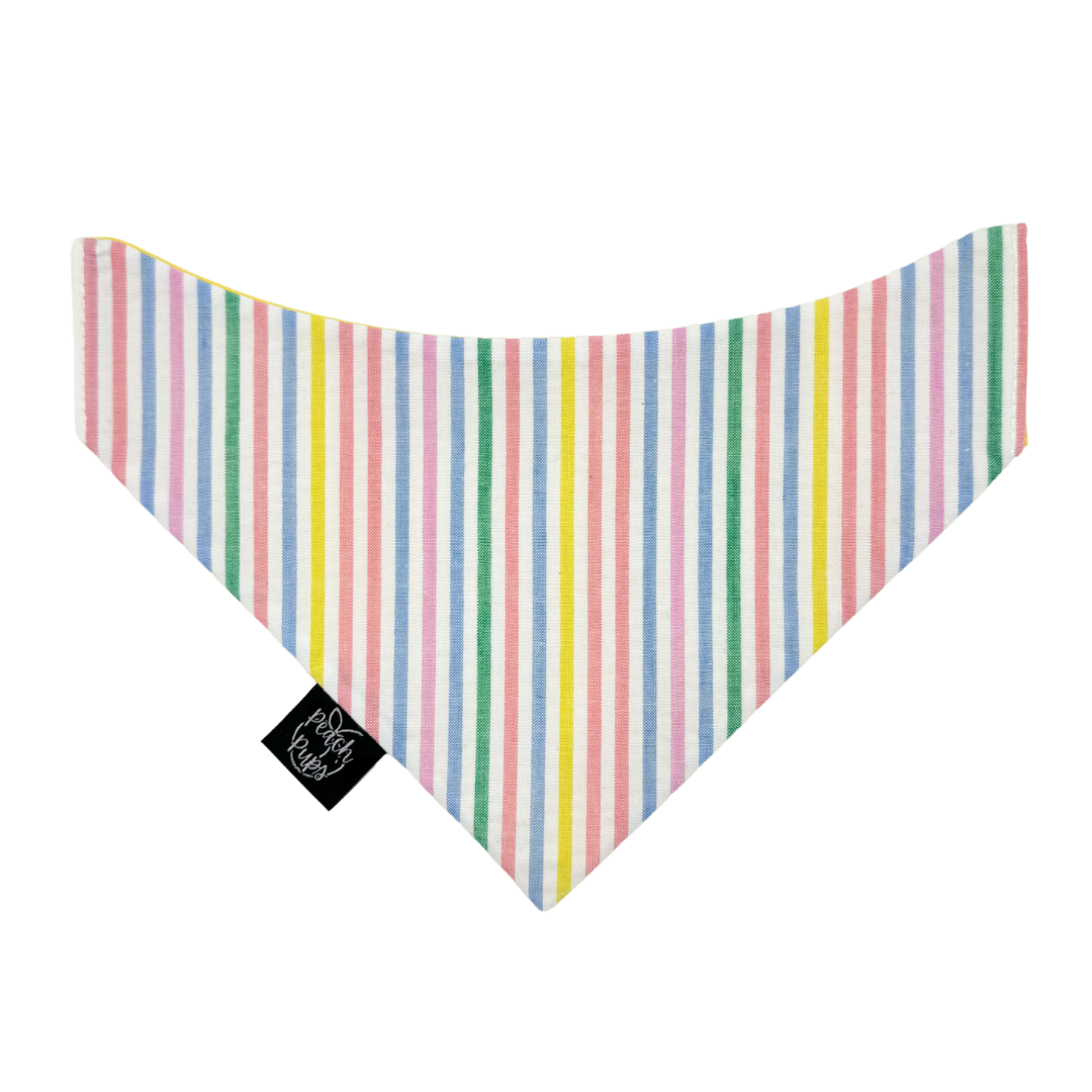 Rainbow Seersucker Bandana