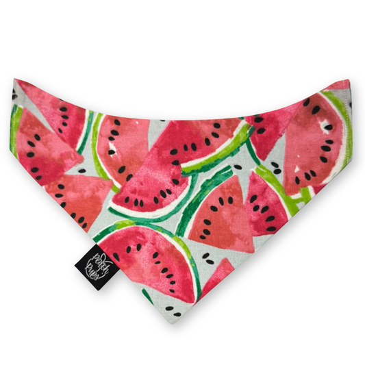 Watermelon Bandana