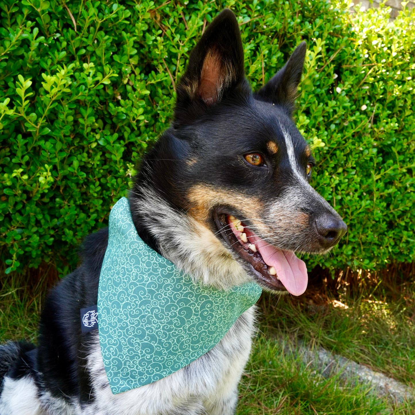 Green Swirls Bandana