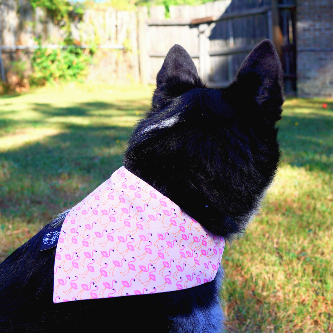 Flamingo Bandana