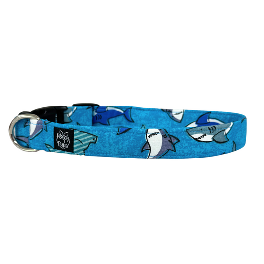 Sharks Collar