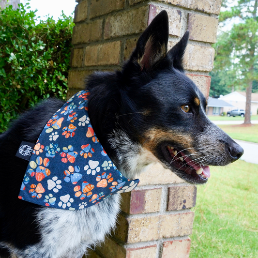 Fall Paw Prints Bandana