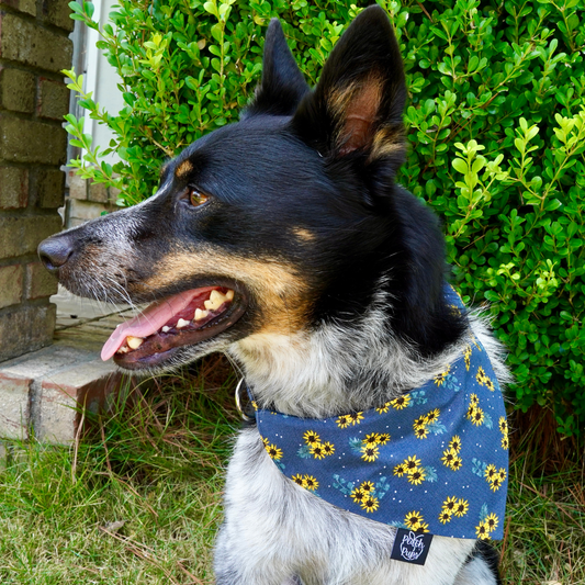 Sunflowers Bandana