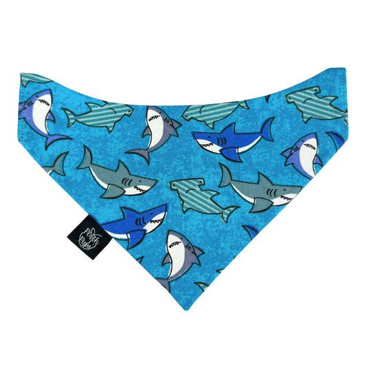 Sharks Bandana