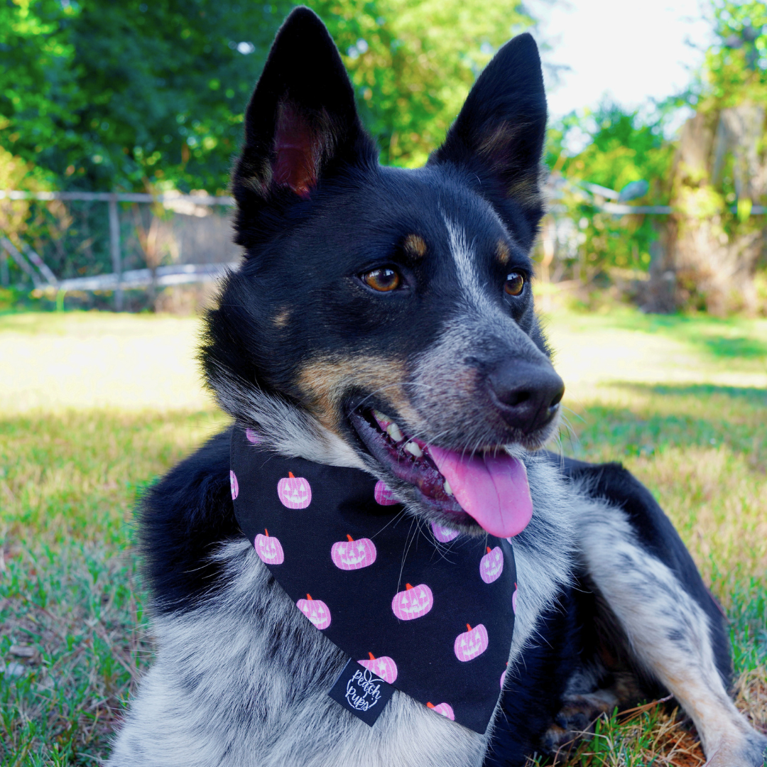 Pink Pumpkins Bandana
