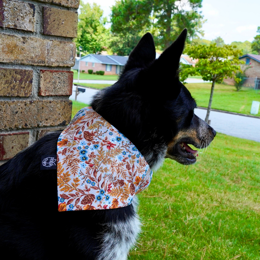 Autumn Harvest Bandana
