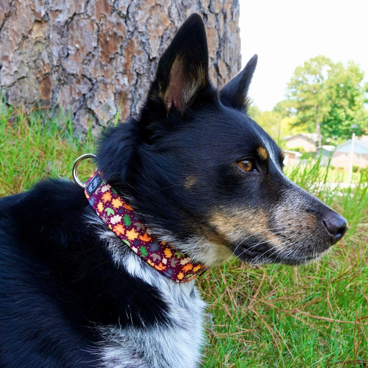 Autumn Leaves Collar