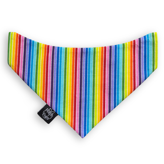 Rainbow Stripes Bandana