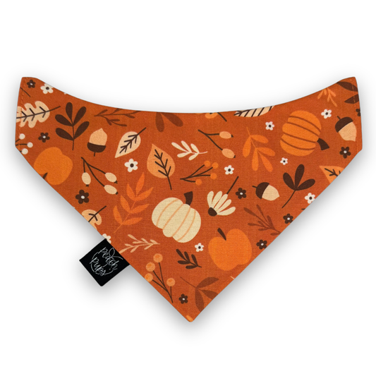 Autumn Bandana