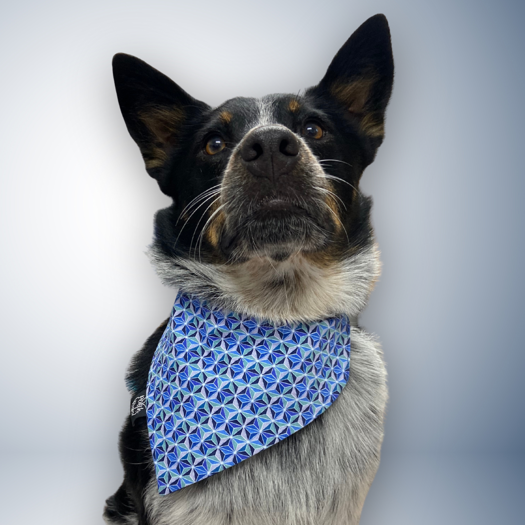 Abstract Stars Bandana