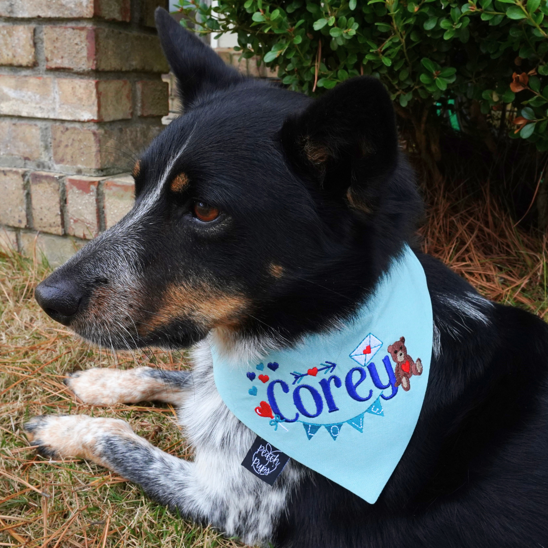Embroidered Valentine's Bandana