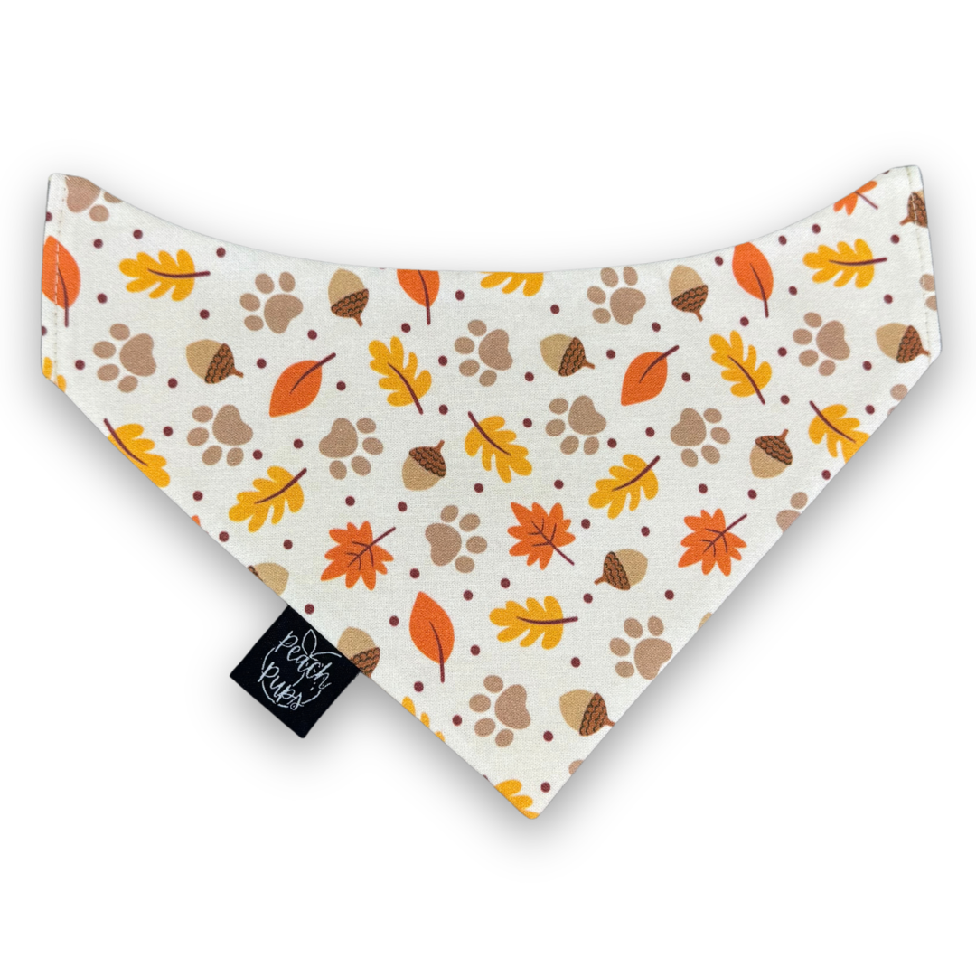 Fall Paw Prints Bandana