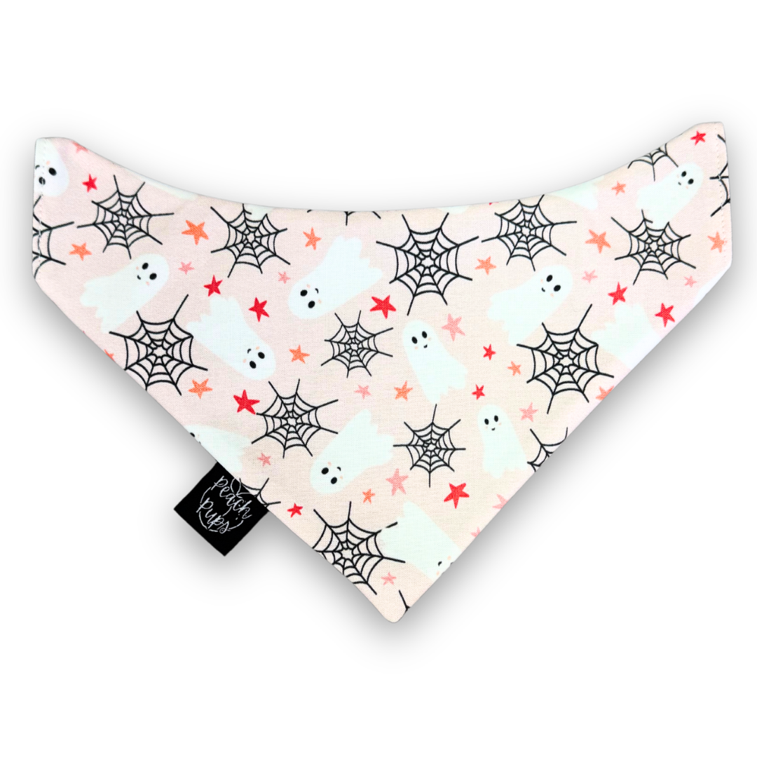 Ghosts and Webs Bandana