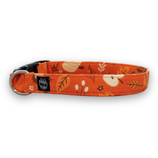 Autumn Collar
