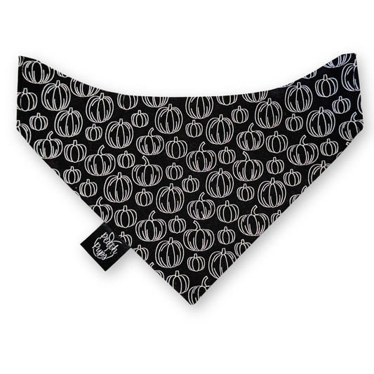 Black Pumpkins Bandana