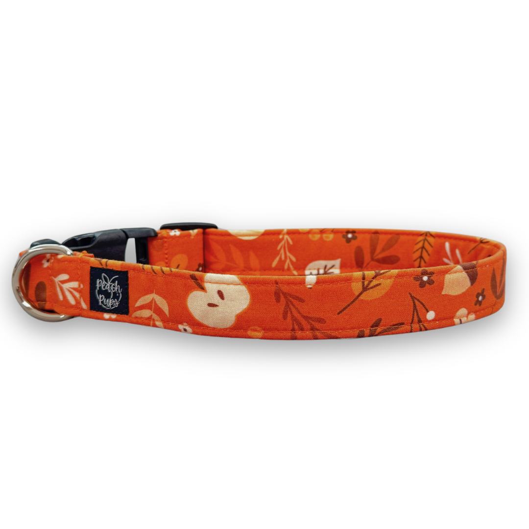 Autumn Collar