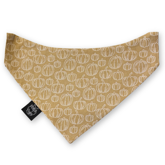 Neutral Pumpkins Bandana