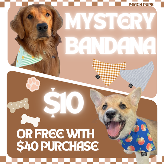 MYSTERY BANDANA