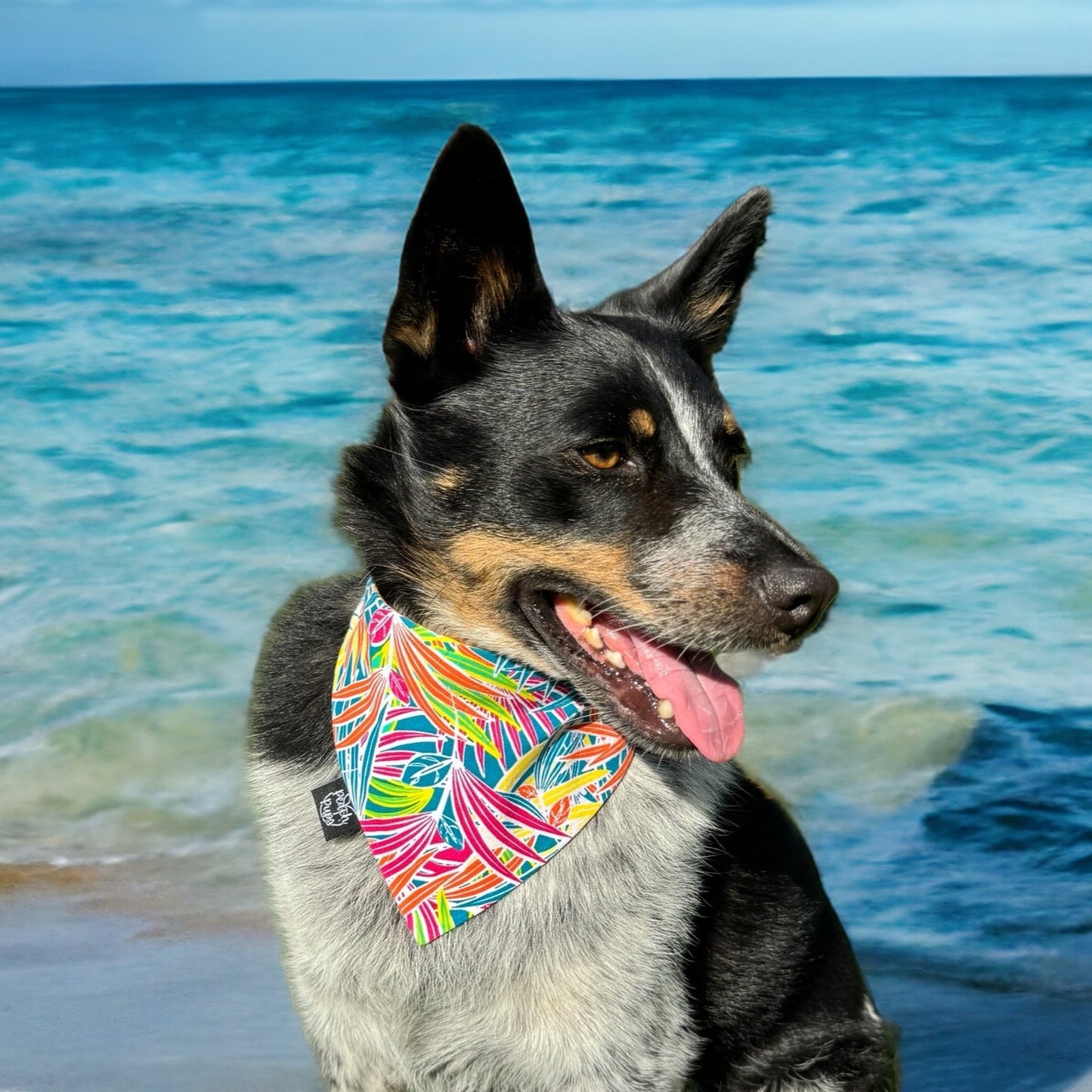 Florida!!! Bandana