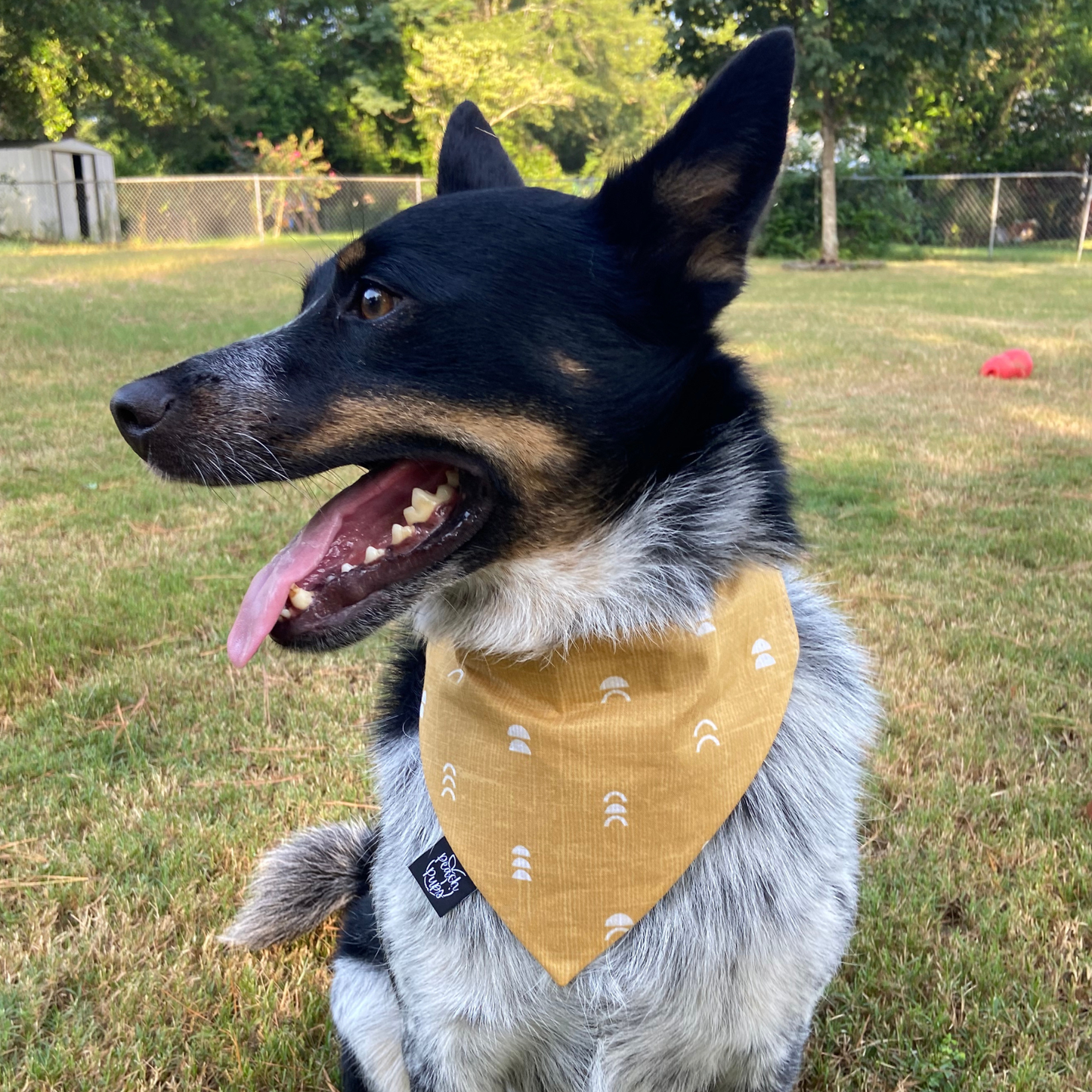 Mustard Arches Bandana
