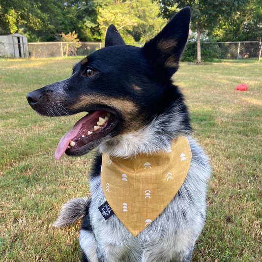 Mustard Arches Bandana