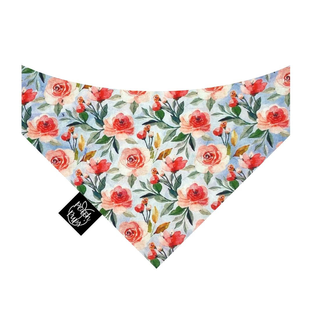 Classy Rose Bandana