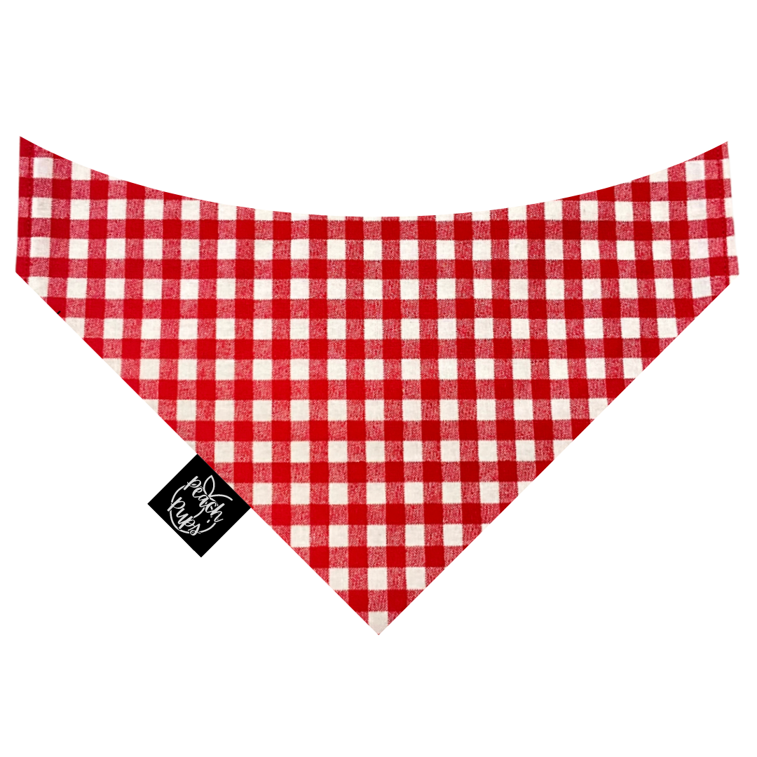 Red Gingham Bandana