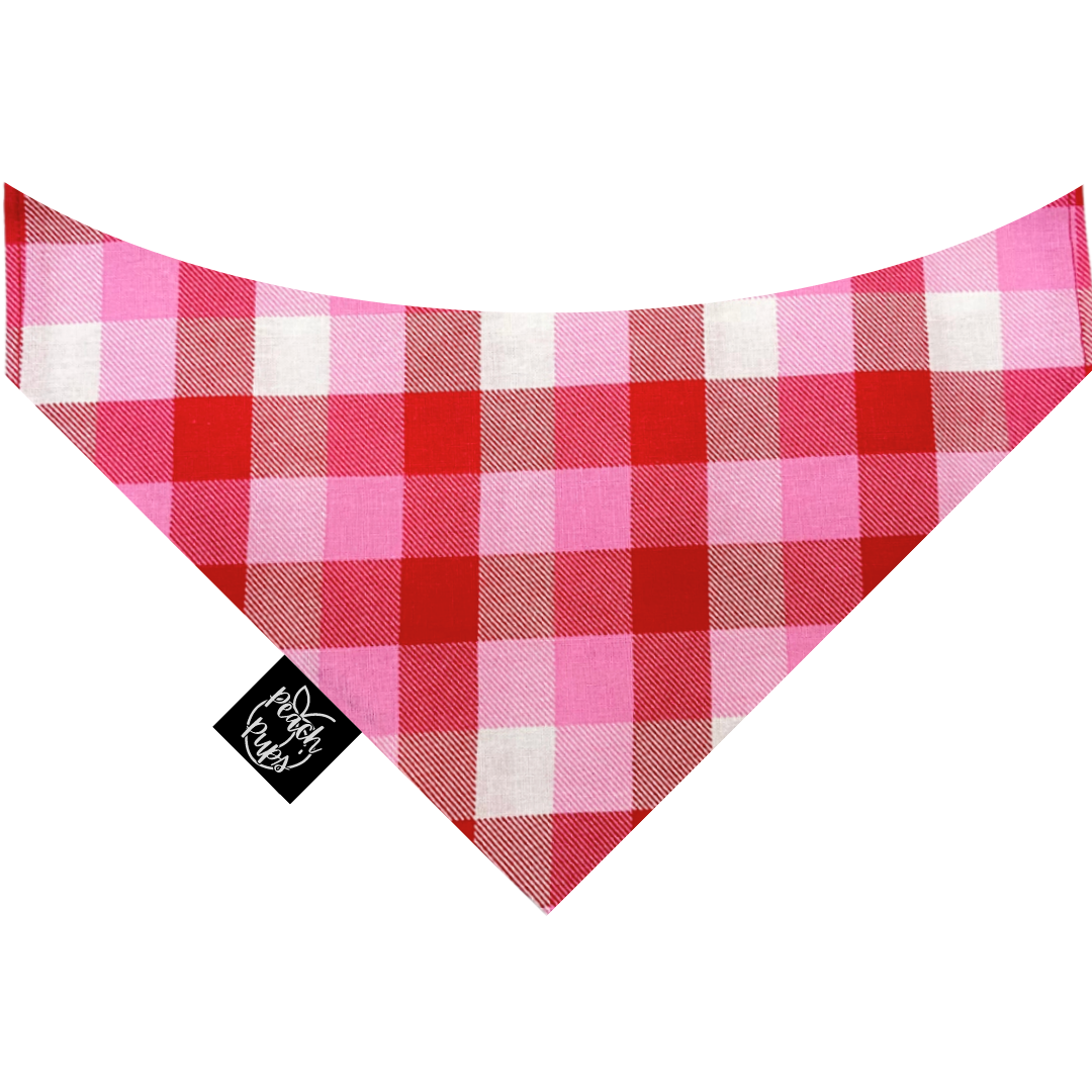 Red and Pink Buffalo Plaid Bandana